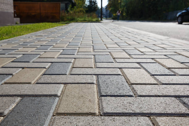 Best Local Driveway Pavers  in Haines, AK